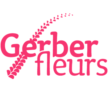 Gerber Fleurs
